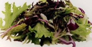 Salat blanding m kaal WEB