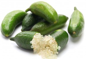 fingerlime oeko
