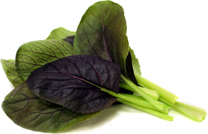 Pak Choi roede