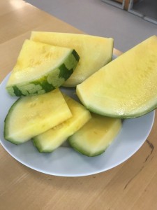 gule vandmelon stenfri